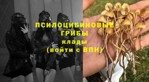 марихуана Баксан