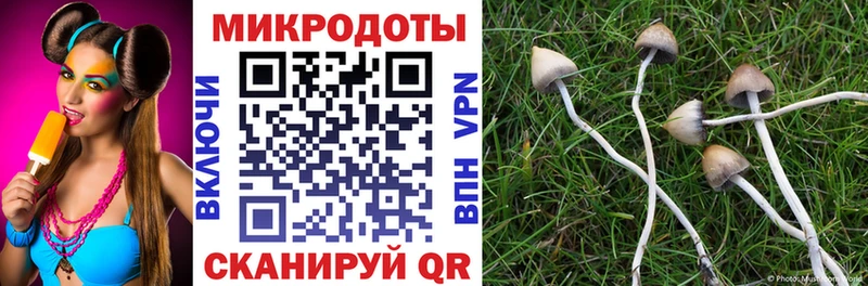 Галлюциногенные грибы GOLDEN TEACHER  Купить  Десногорск 